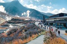 Private Fuji Hakone Tour Charter with English Speaking Driver