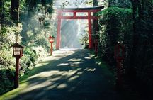 Private Fuji Hakone Tour Charter with English Speaking Driver