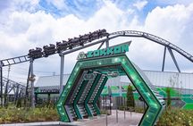 Fuji-Q Highland Amusement Park Private Tour with English Driver
