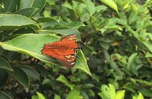 Private Tour - Cerro Gaital Natural Monument Trail