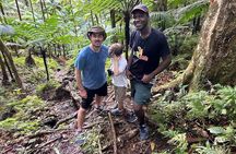 Volcano Hike To Mt. Liamuiga (Highest Peak On Island)