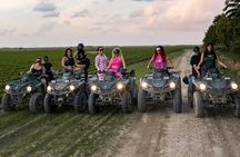 Epic ATV Expedition – Ride Miami's Trails Like Never Before!"