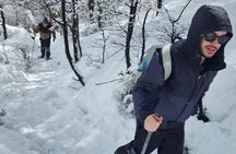 Private Snowshoe Hiking in Bariloche in Winter