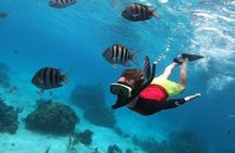 Private Charter 34ft Express Cruiser Stingay City Reef Snorkeling