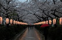 Kamakura & Yokohama One-Day Tour with English Driver