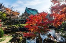Kamakura & Yokohama One-Day Tour with English Driver