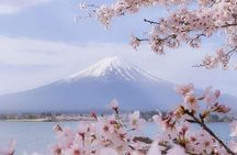 Mt Fuji Private Tour with English speaking driver