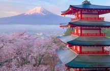 Mt Fuji Private Tour with English speaking driver