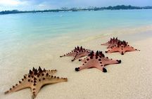 Private Day Trip Tour To Secret Gilis