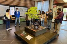 Private Omiya Bonsai Village Tour with Licensed Guide 