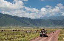 4-Day Group Tour Explore Tarangire, Serengeti and Ngorongoro