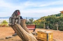 Private Day Tour - Kyoto Arashiyama & Bamboo Forest Perfect Tour!