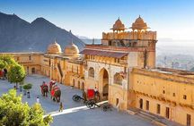 Jaipur (Pink City) Private Guided Day Trip from Delhi By Car