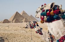 2 Day Pyramid, Sakkara, Memphis, Museum, and Citadel Private Tour