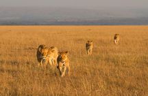 3 Days Amboseli National Park safari and Mount Kilimanjaro