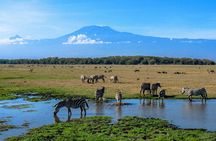 3 Days Amboseli National Park safari and Mount Kilimanjaro