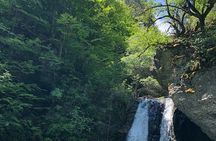Private Guided Hiking in Mt Olympus National Park