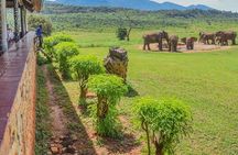 3 Day Safari to Tsavo East and Tsavo West from Coastal Beaches