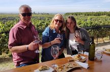Wineries to Valle de Uco! Semi-private tours