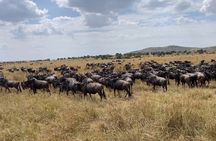  Full Day Private Nairobi Wildlife & Cultural Expedition