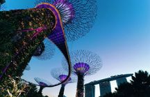 Fabulous Night-Out in Singapore