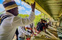 Historical Bridge Tour of the Victoria Falls Bridge