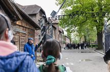 Krakow: Auschwitz Birkenau Guided Tour - Private Transportation 