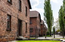 Auschwitz-Birkenau: Day Trip & Transfer from Kraków