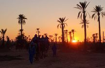 Sunset Camel Ride in the Palmerai of Marrakesh