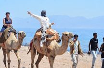 Explore Canyon Salama by Jeep Safari from Sharm El-Sheikh