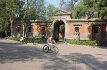 Bike tour in the Chapultepec Forest and Roma Condesa 