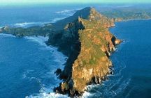 Private Excursion Cape of Good Hope and Penguins Tour