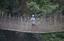 Kakum National Park and Cape Coast Castle Day Tour