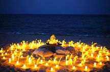 Sunset Beach Picnic in Miami