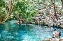 Materuni Waterfall, Coffee Farm Tour, and Kikuletwa Hot Spring
