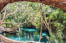 Materuni Waterfall, Coffee Farm Tour, and Kikuletwa Hot Spring
