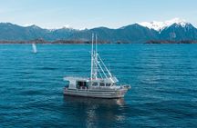 Experience Local Marine Wildlife Tour