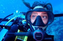 Roatan Reef Explorer Multi-Day Dive Package of 5 Dives
