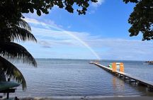 Roatan Reef Explorer Multi-Day Dive Package of 5 Dives
