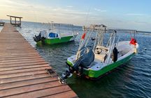 Roatan's Diving Best! 10 Dive Package for Certified Divers