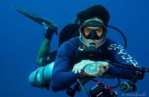Roatan's Diving Best! 10 Dive Package for Certified Divers
