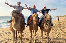 Full Day Private Tour of Tangier