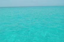 Private speed boat beach and bar hopping visiting Rose island