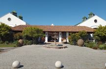 Wineries Tour in Casablanca Valley from Valparaiso