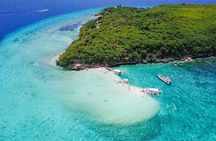 Cebu Whaleshark Watching w/ Sumilon Island Hopping