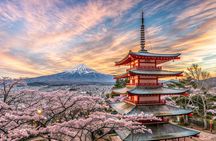 From Tokyo: Mt Fuji and Hakone Private Day Trip