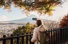 From Tokyo: Mt Fuji and Hakone Private Day Trip