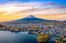 From Tokyo: Mt Fuji and Hakone Private Day Trip