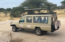 Day Tour in Tarangire National Park with Lunch