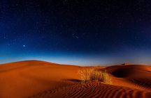Doha Night Desert Safari Adventure